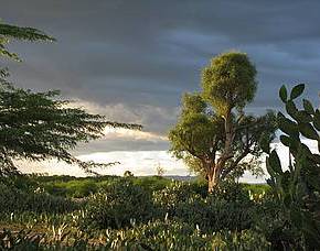 Madagascar_ Public Health and Environment Project 2008 on&nbsp;Vimeo